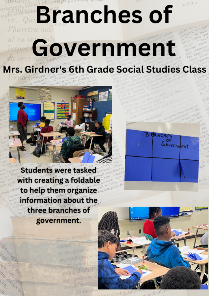 Branches of Government Poster